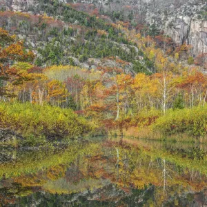 Beaver pond with beaver lodge (on the left side) and trees reflected in autumn