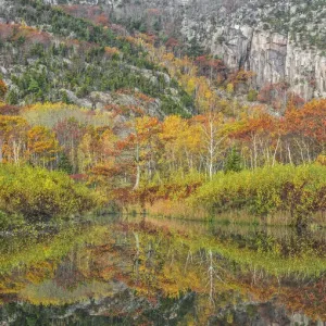 Autumn Beaver Pond Print Autumn Beaver Pond Print