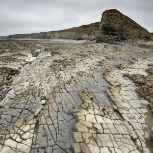 Bedding planes and joint network in Jurassic age Blue Lias limestone and shale exposed Bedding planes and joint network in Jurassic age Blue Lias limestone and shale exposed