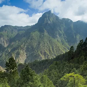 Berjenado peak viewed from the Caldera, Caldera de Taburiente National Park, La Palma