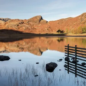 Blea Tarn, evening light and reflections in autumn, Cumbria, The Lake District, UK. November 2016 Blea Tarn, evening light and reflections in autumn, Cumbria, The Lake District, UK. November 2016
