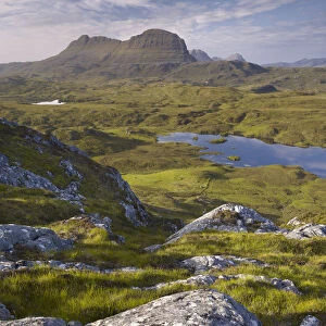 Bog wetlands with Suilven mountain in the background at dawn, Assynt mountains, Highland