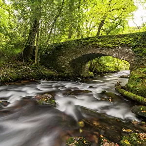 Buckland Bridge over River Webburn, flowing through woodland. Dartmoor National Park, England, UK. October 2020