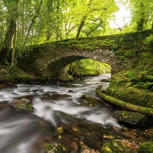 Buckland Bridge over River Webburn, flowing through woodland. Dartmoor National Park, England, UK. October 2020