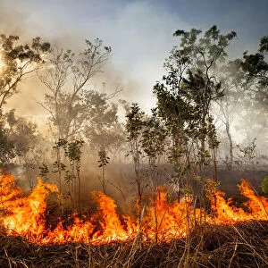 Bush fire triggered by lightning storm, Western Australia. December 2013