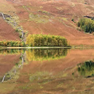 Buttermere Reflections Print, Lake District Landscape Buttermere Reflections Print, Lake District Landscape