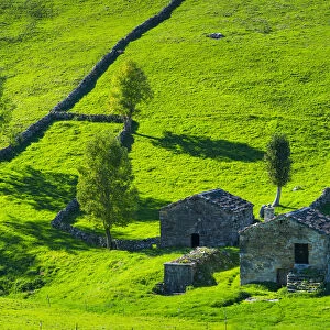 Cabana pasiega buildings and meadows, Miera Valley, Valles Pasiegos, Cantabria, Spain