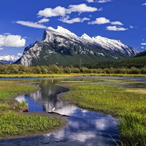 Canadian Rockies reflected in marshland, Banff National Park, Alberta, Canada