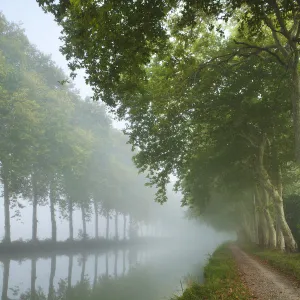 The Canal du Midi near Castelnaudary, Languedoc-Rousillon, France. September 2011