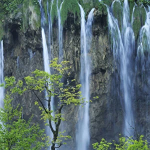A cascade of waterfalls falling over a cliff in woodlands. Plitvice National Park