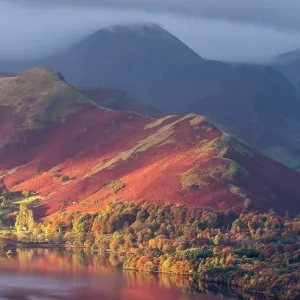 Catbells Print: Early Morning Light on Derwentwater Catbells Print: Early Morning Light on Derwentwater