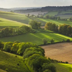 Chalk downland landscape with mixed farming, Cranborne Chase, Wiltshire, England, UK