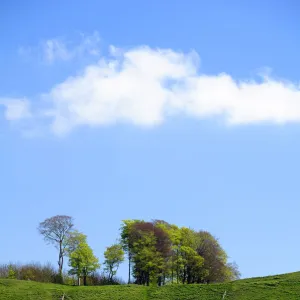 Images Dated 2009 May: 1 May 2009