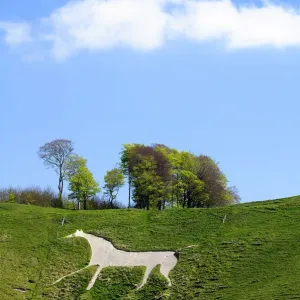 Cherhill White Horse Print, Spring 2009 Cherhill White Horse Print, Spring 2009