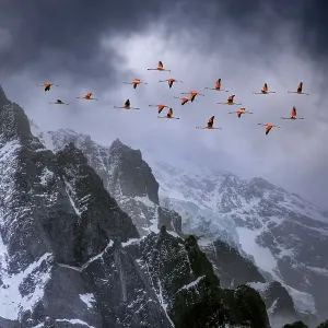 Cool Coloured Wilderness