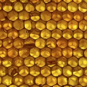 Close-up Honeycomb Print Close-up Honeycomb Print