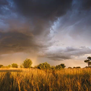 Clouds during the rainy season in the Kalahari Desert, Botswana, March 2009