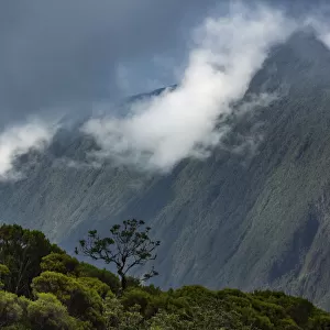 The Col de Boeuf, Reunion Island
