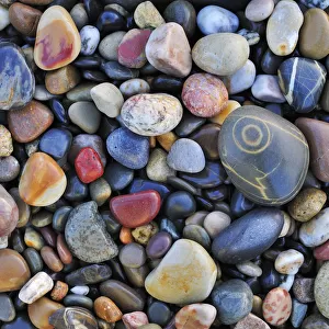 Colourful water-smoothed pebbles on shingle beach. Normandy, France, October 2010