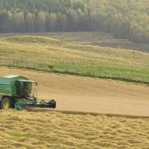 Combine harvester harvesting Barley (Hordeum vulgare) crop, Strathspey, Highlands