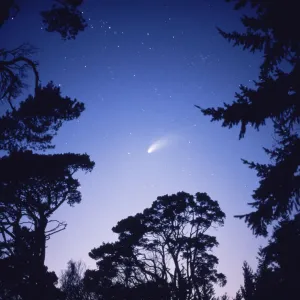 Comet Hale Bopp seen from Southern England, February 1997 Comet Hale Bopp seen from Southern England, February 1997