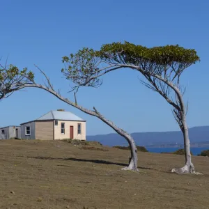 Print of the 1825 Commandants Residence, Maria Island National Park Print of the 1825 Commandants Residence, Maria Island National Park