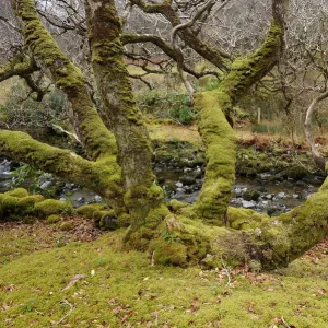 Images Dated 2008 February: 16 Feb 2008