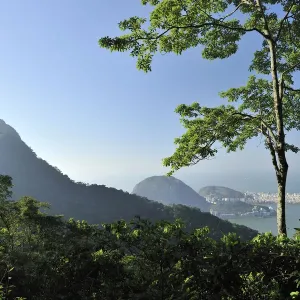 Corcovado Hill and the Christ Redemptor statue in the Atlantic Rainforest of Tijuca National Park Corcovado Hill and the Christ Redemptor statue in the Atlantic Rainforest of Tijuca National Park