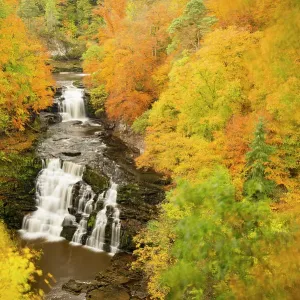 Corra Linn Waterfall Print, Late Autumn Scene