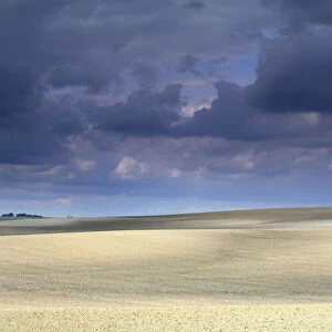 Cultivated fields with dark storm clouds, Dos Hermanas, Seville, Spain