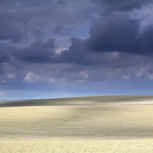 Cultivated fields with dark storm clouds, Dos Hermanas, Seville, Spain Cultivated fields with dark storm clouds, Dos Hermanas, Seville, Spain