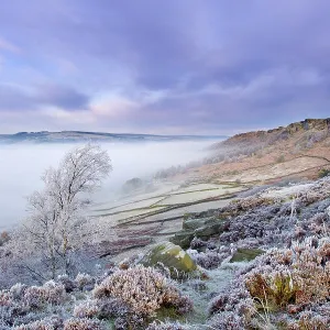 Curbar Edge Print, Peak District Landscape at Dawn Curbar Edge Print, Peak District Landscape at Dawn