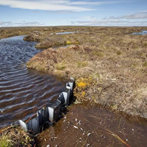 Dam in place to re-wet blanket bog at RSPB Forsinard Flows, Flow country, Caithness