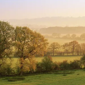 Dawn at Staunton Caundle Print - English countryside landscape Dawn at Staunton Caundle Print - English countryside landscape