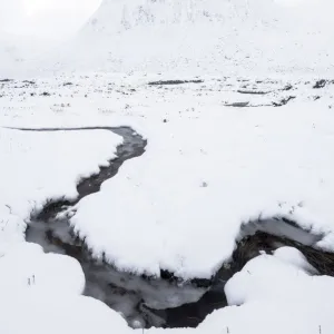 Images Dated 2016 January: 11 Jan 2016