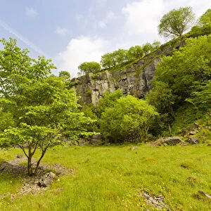 Disused limestone quarry supporting a wide range of vegetation. Millers Dale