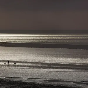 Dog walkers walking along The Wash in evening low tide, Norfolk, UK August 2013