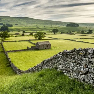 Dry-stone wall and barn print in Wensleydale, Yorkshire Dales Dry-stone wall and barn print in Wensleydale, Yorkshire Dales