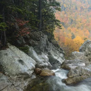 Ellis River high in White Mountain National Forest. New Hampshire, October 2012