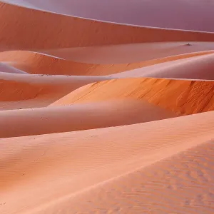 Erg Chebbi Dune Print Erg Chebbi Dune Print