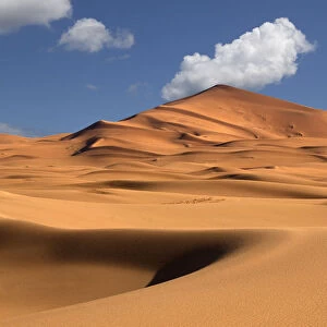Erg Chebbi Dunes, Sahara Desert, Morocco, North Africa, March 2011