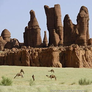 Eroded sandstone rock formations with Dromedary camels (Camelus dromedarius