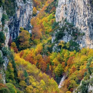 Escuain Canyon Print, Autumn Landscape in Ordesa National Park Escuain Canyon Print, Autumn Landscape in Ordesa National Park