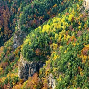 Escuain Canyon, autumn, Ordesa National Park Escuain Canyon, autumn, Ordesa National Park