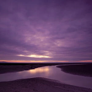 Estuarine river inlet running across mudflats at dawn, Morecambe Bay, Cumbria, England