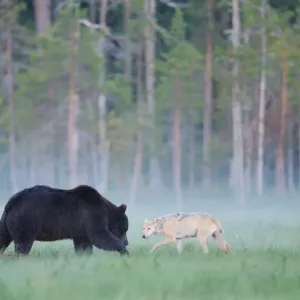 Wild Wonders of Europe 3