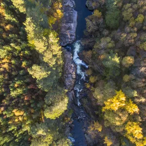 Falls of Truim running through autumnal woodland, Cairngorms National Park, Scotland