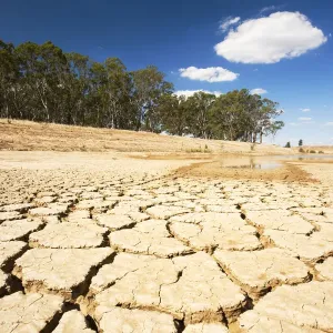 Farmers' Watering Hole Print Farmers' Watering Hole Print