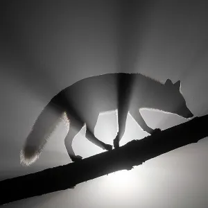 Images Dated 2021 May: 26 May 2021