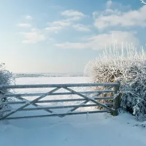Field gate in snow in evening light, nr Bradworthy, Devon, Uk. December 2010 Field gate in snow in evening light, nr Bradworthy, Devon, Uk. December 2010